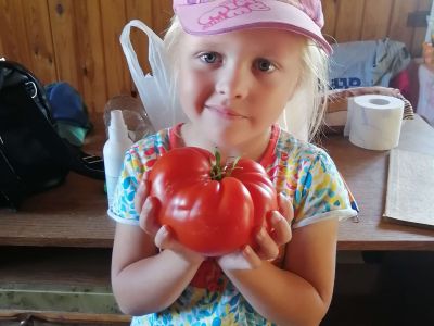6. Потапейко Ирина Александровна, отдел бухгалтерского и налогового учета,
19.08.2023, д.Петькович