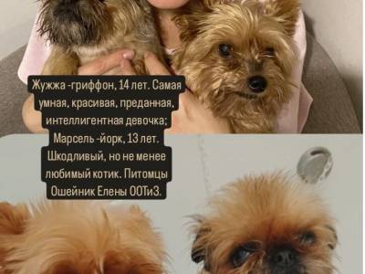 4. Ошейчик Елена, ООТиЗ,
Фотография я+мои младшие дети. Как, не дети? Одно лицо:)
Жужжа – грифон,