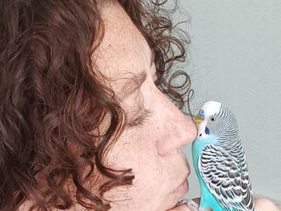 10. Новицкая Марина, технологический отдел
«Мммм.... Дай, я тебя поцелую.»
Имя питомца: Арчибальд